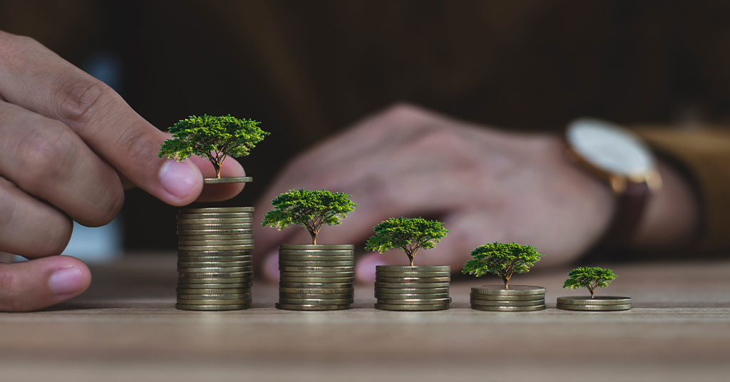 Simplifying Business Logistics and Financial Planning with TP Services